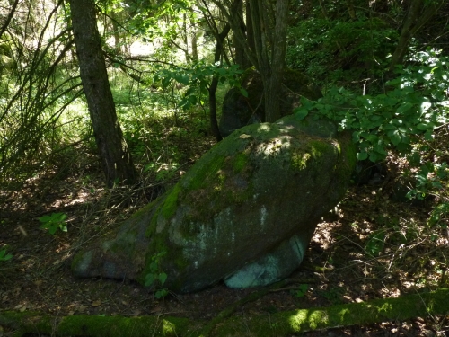 PR - První kámen v lese