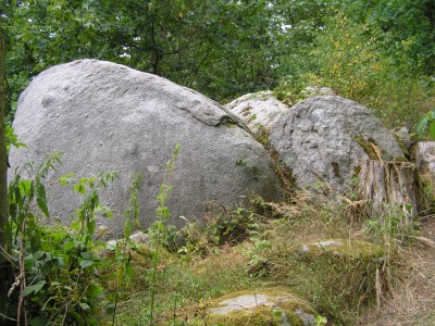 Kameny u Obrova hradiště 9.jpg