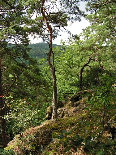 LS - skalka 2.jpg