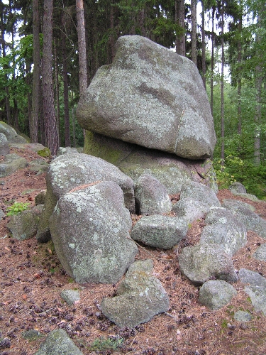 Jelení skok - kamenný hřib