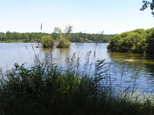 SJ9 - Smyslov - rybník