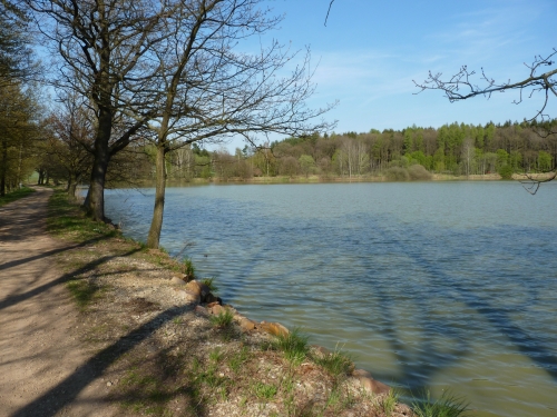 KR - Bechyňský rybník 2