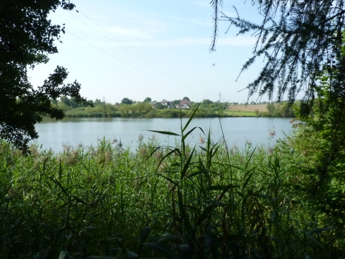 PR15 - Čapský rybník
