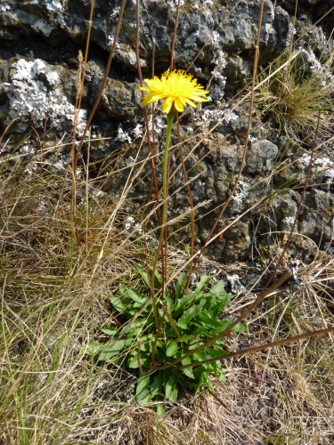 DS16 - Všechno kopytníci nevypásli