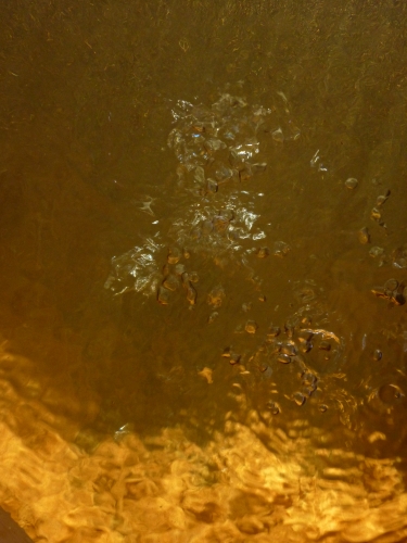 FK15 - Bubliny plynu v pramenité vodě