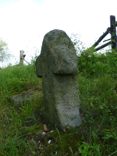 V5 - Kamenný kříž u Vlkovic