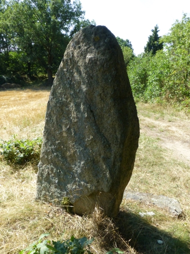 BM7 - Menhir z jiné strany