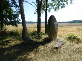 menhir-blatna-3l.jpg