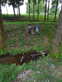 jindrichovice-1a.jpg