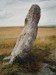 Menhir Zakletý mnich - Drahomyšl 1