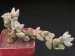 Crassula aff.cornuta.jpg