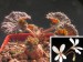 Pelargonium barklyi.jpg