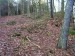 Hůrka - mohyly