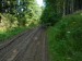 MM5 - Rozježděná lesní cesta