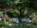 BM1 - Kameny v lesíku u menhiru