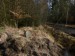 KVL1 - Kamenná stéla v lese u Vysoké Libyně