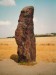Klobuky - menhir Zkamenělý pastýř 2.jpg